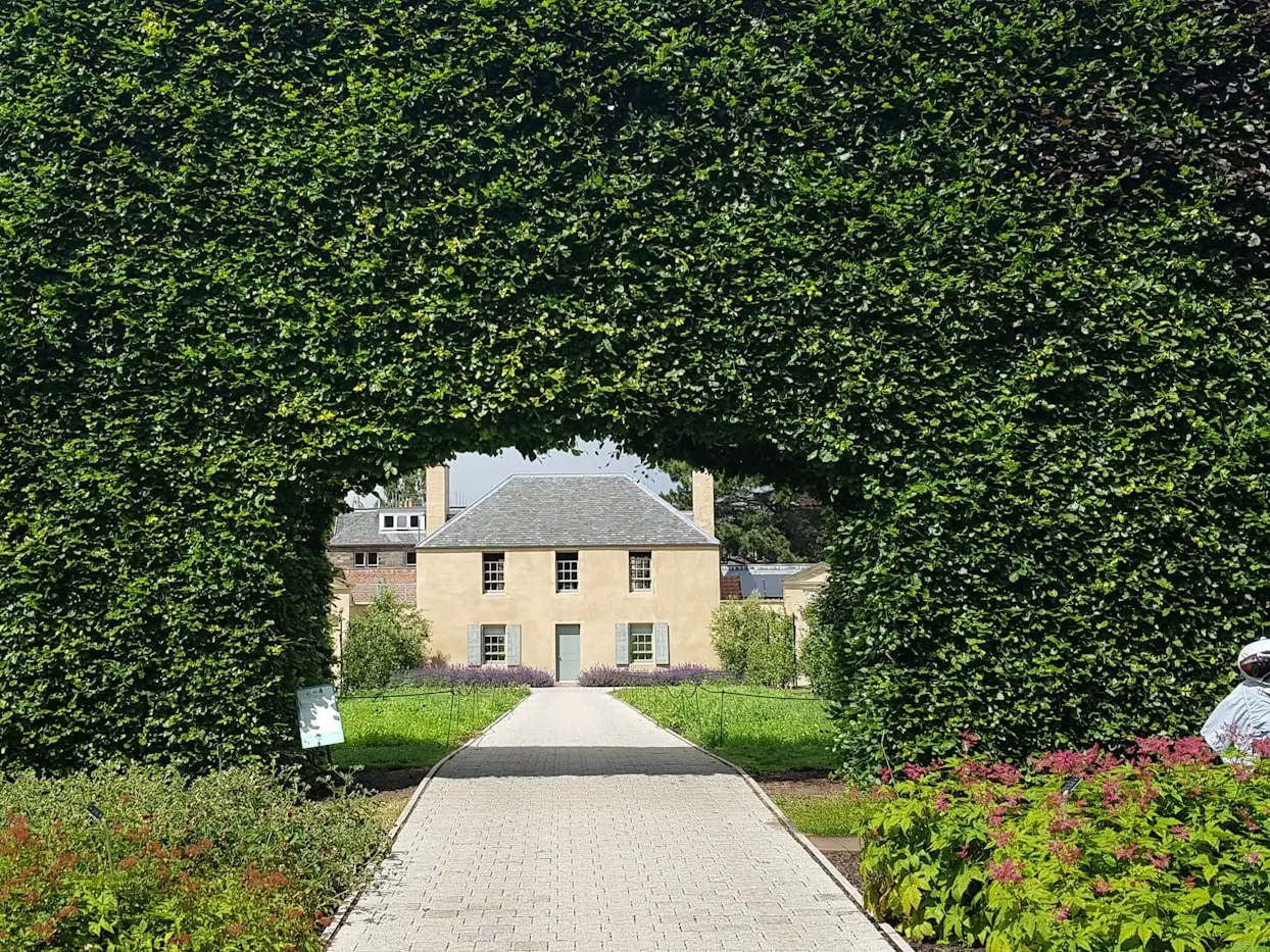 a person walking on a path surrounded by trees